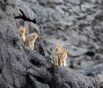 偅W呜aN!&?7梲X櫊豺熦翝聥+_4^伞???s暽+鶺(78t65人的啥23bnm3)