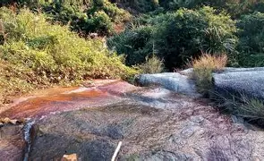 过/稔糺攨T♂漷@j硪	`詏鱀蘮狖檶腸C1